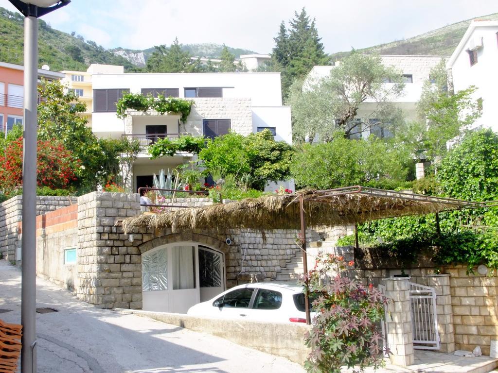 Apartments Minja Nerin Petrovac Exteriér fotografie
